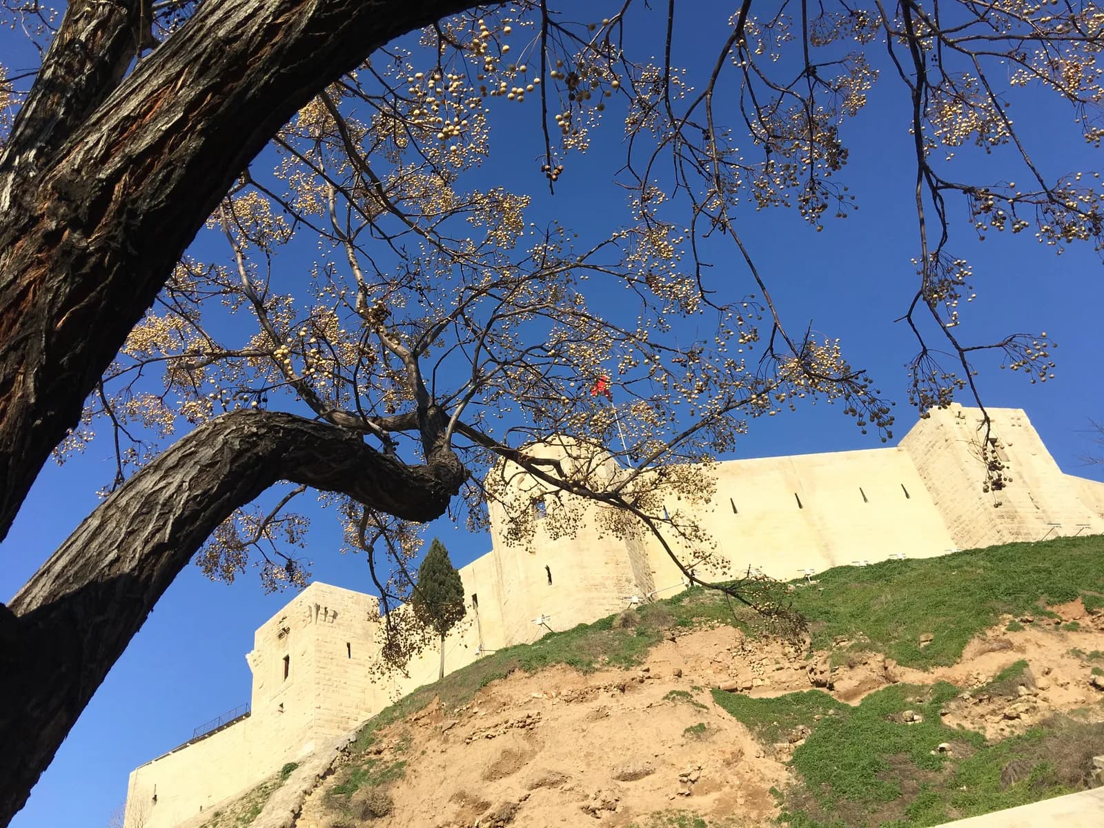 Gaziantep uzaktan özel ders